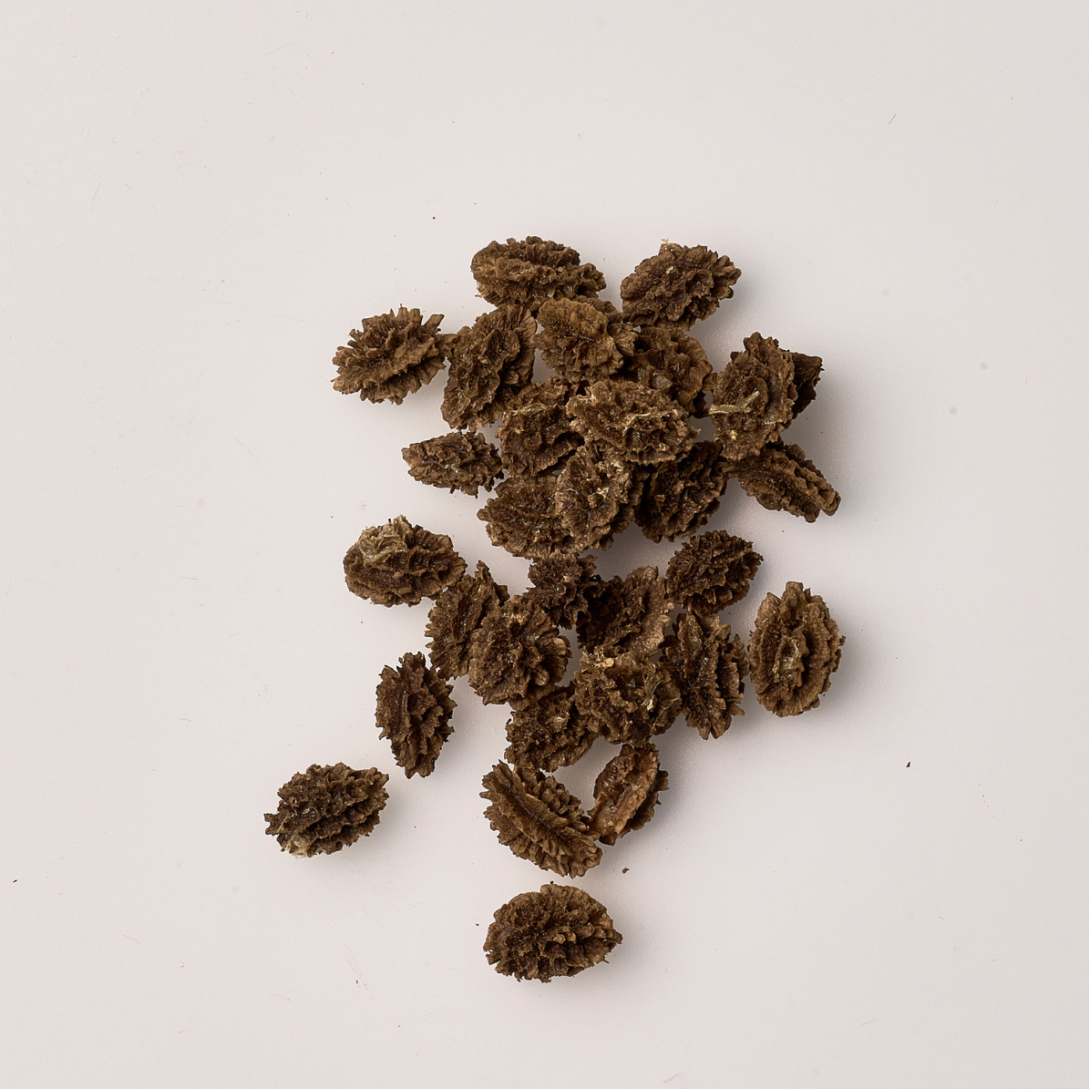 Pharmos Natur PapayaVera Neu